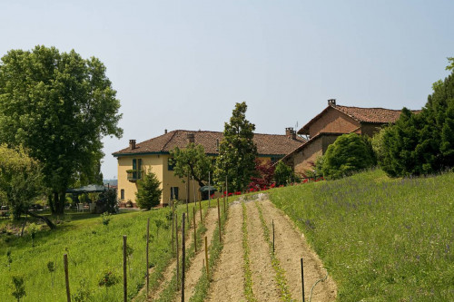 Casale in Vendita a Asti