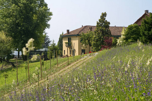 Casale in Vendita a Asti