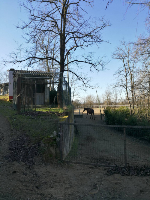 Casa indipendente in vendita a Fubine Monferrato (AL)