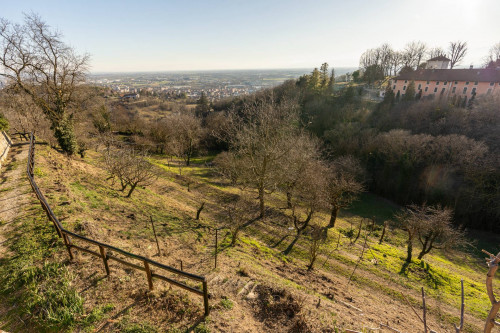 Appartamento in vendita a Moncalieri