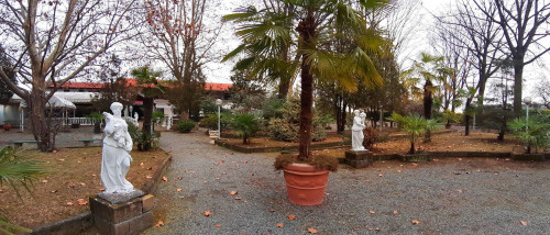 Attività Commerciale - Ristorante in Vendita a Ciriè