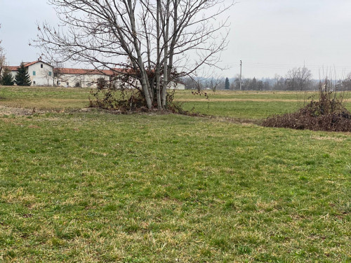 Terreno Agricolo in Vendita a Mondovì