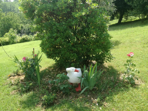 Villa in Vendita a Asti