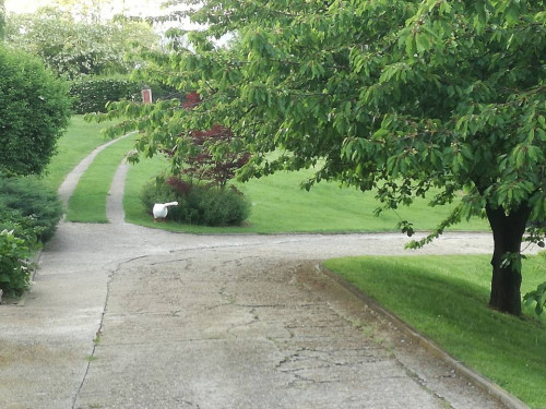 Villa in Vendita a Asti