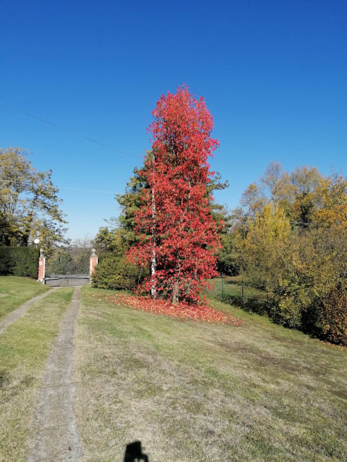 Villa in Vendita a Asti