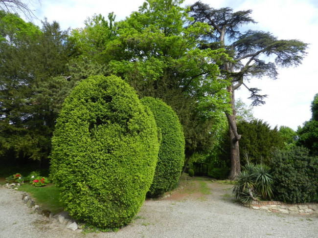 Castello in Vendita a Montiglio Monferrato