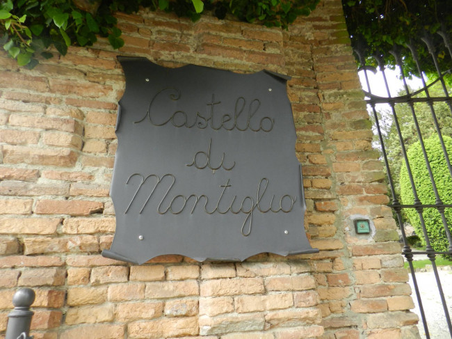 Castello in Vendita a Montiglio Monferrato
