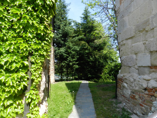 Castello in Vendita a Montiglio Monferrato