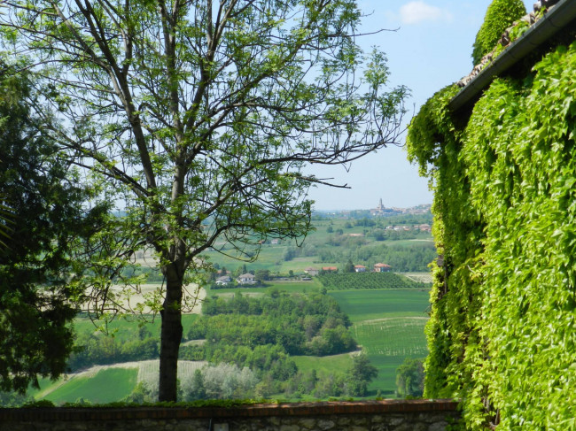 Castello in Vendita a Montiglio Monferrato