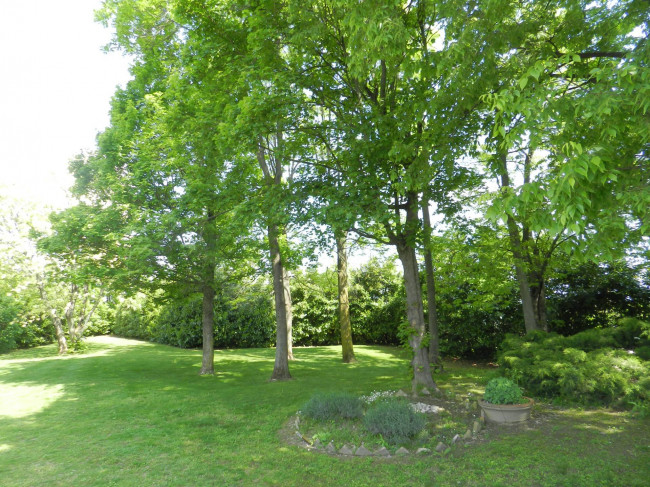 Castello in Vendita a Montiglio Monferrato