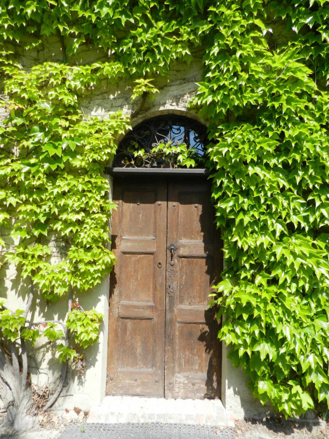 Castello in Vendita a Montiglio Monferrato