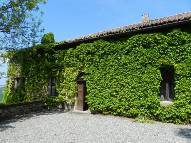 Castello in Vendita a Montiglio Monferrato