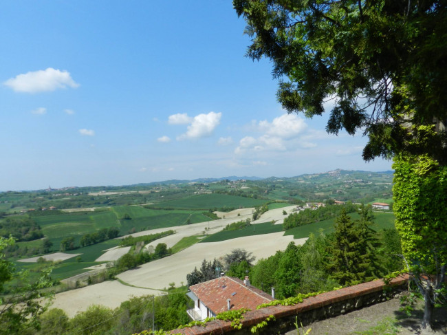 Castello in Vendita a Montiglio Monferrato