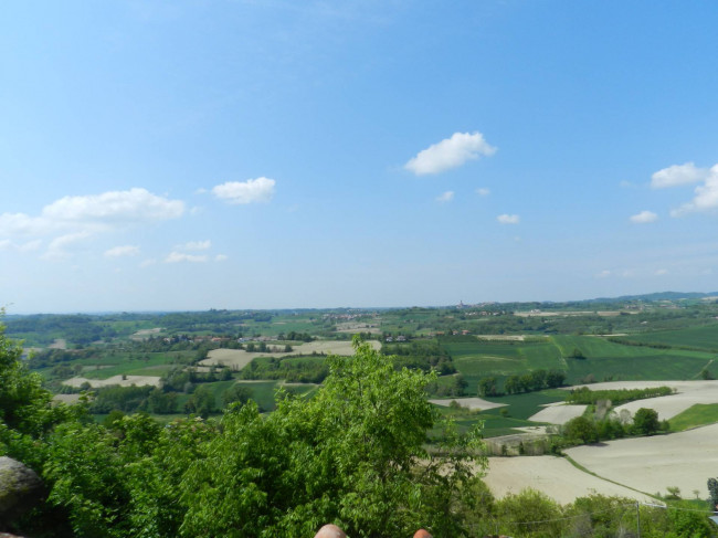 Castello in Vendita a Montiglio Monferrato