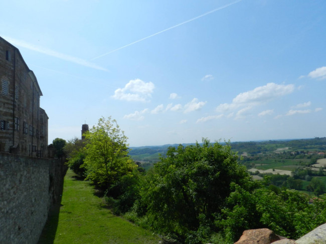 Castello in Vendita a Montiglio Monferrato