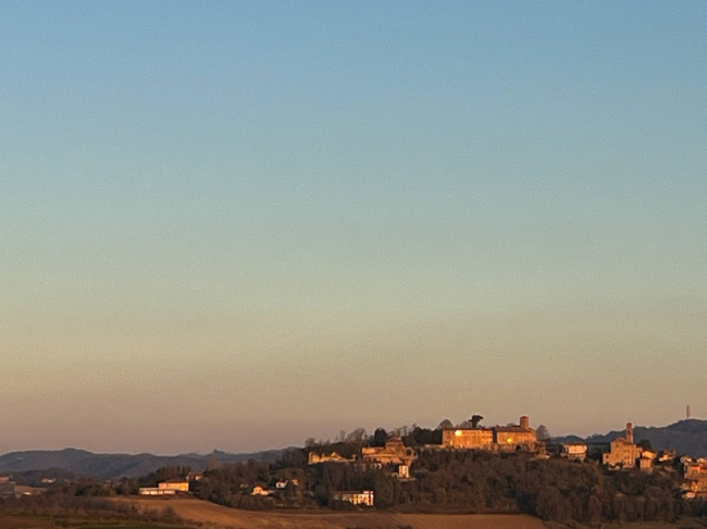 Castello in Vendita a Montiglio Monferrato