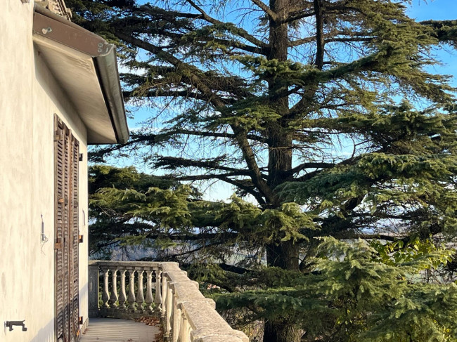 Casa indipendente in Vendita a Vignale Monferrato