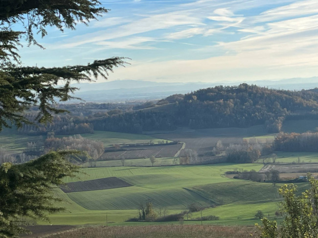 Casa indipendente in Vendita a Vignale Monferrato
