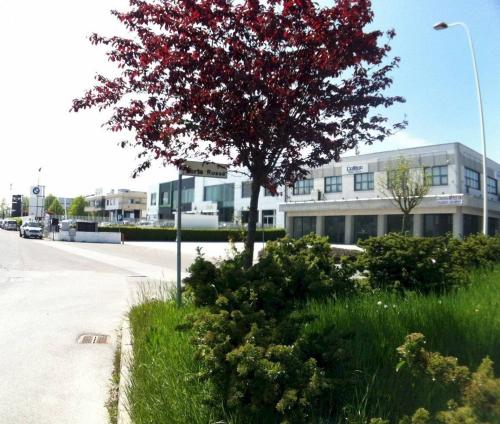 Locale commerciale in affitto