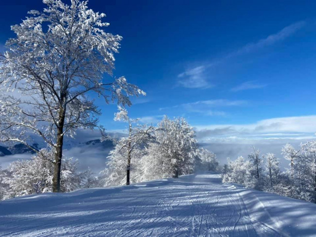 Porzione di casa in vendita a Roburent