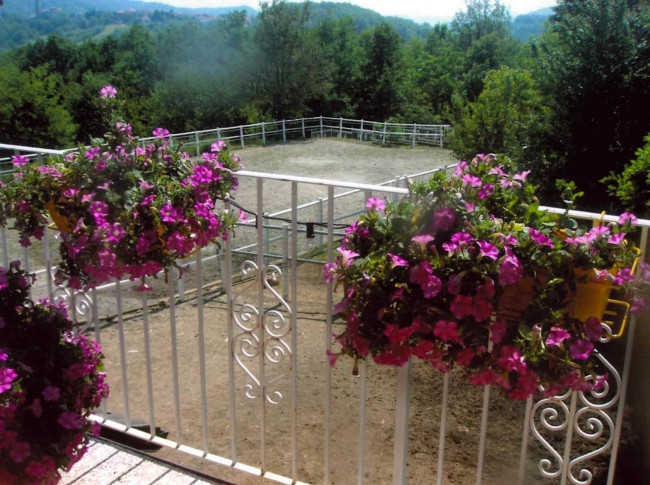 Villa in Vendita a Cassinelle