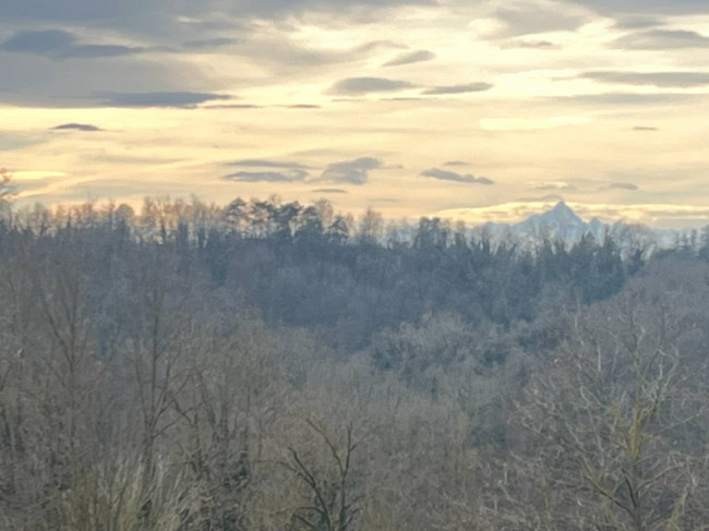 Cascina in Vendita a Viale