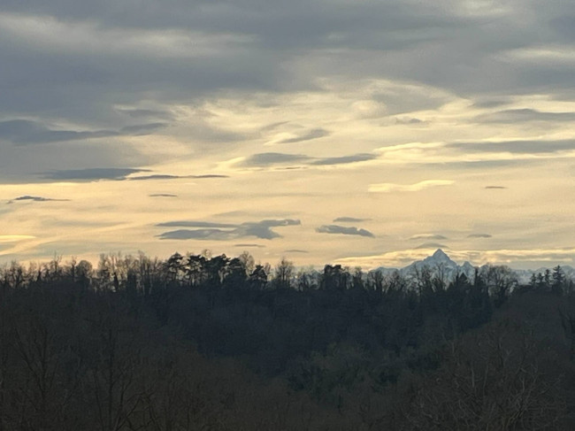 Cascina in Vendita a Viale