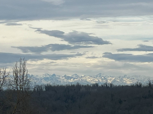 Cascina in Vendita a Viale