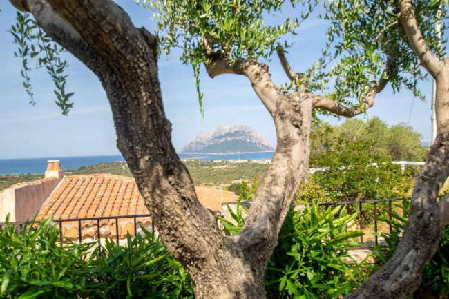 Villetta in vendita a Loiri Porto San Paolo