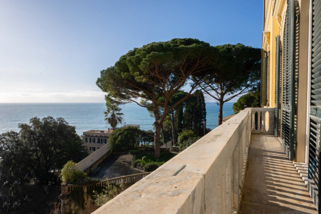 Appartamento in Affitto a Zoagli