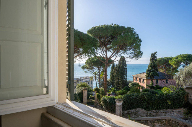 Appartamento in Affitto a Zoagli