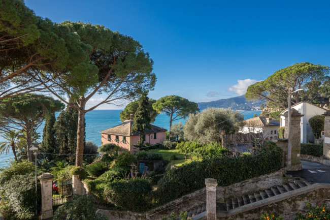 Appartamento in Affitto a Zoagli