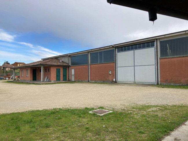 Capannone in Vendita a Grana