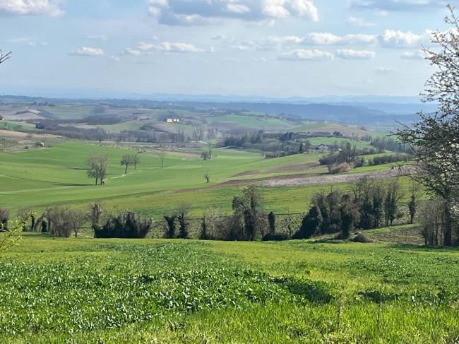 Casa indipendente in Vendita a Alfiano Natta