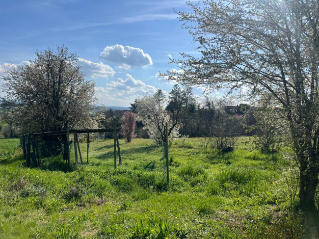 Casa indipendente in Vendita a Alfiano Natta