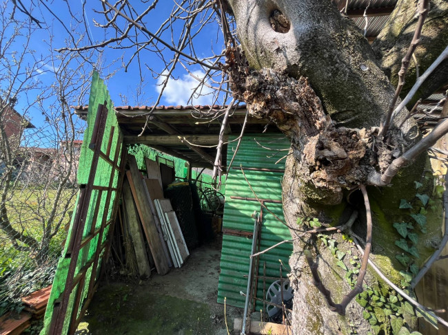 Casa indipendente in Vendita a Alfiano Natta