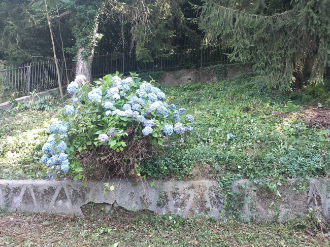 Casa indipendente in vendita a Monastero di Vasco