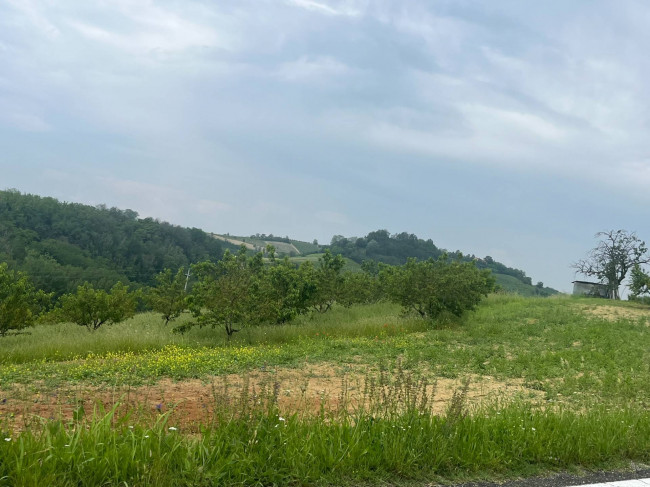 Cascina in Vendita a Pino d'Asti