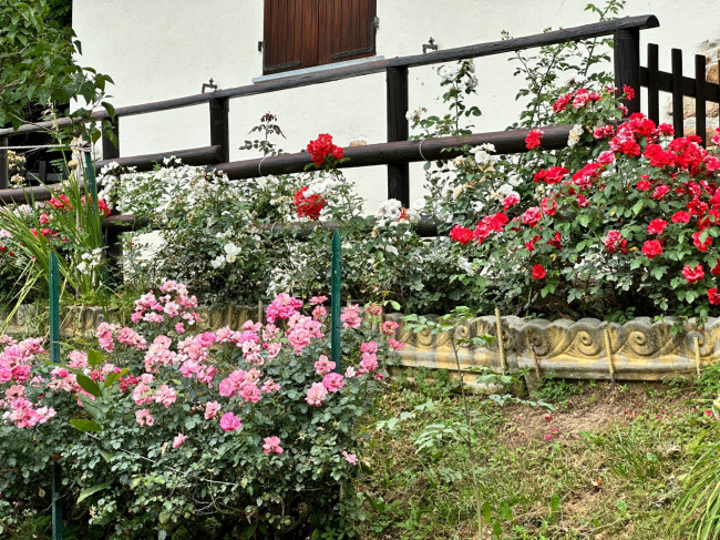 Terreno Agricolo in vendita a Monastero di Vasco