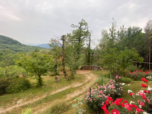 Terreno Agricolo in vendita a Monastero di Vasco