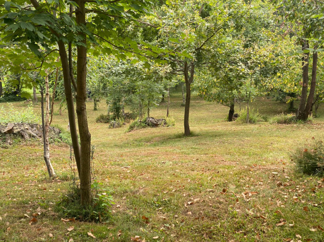 Terreno Agricolo in vendita a Monastero di Vasco