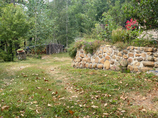 Terreno Agricolo in vendita a Monastero di Vasco