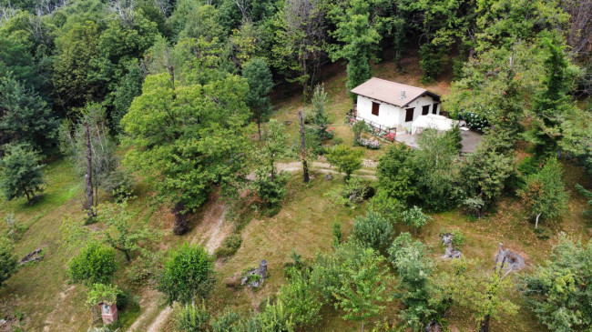 Terreno Agricolo in vendita a Monastero di Vasco