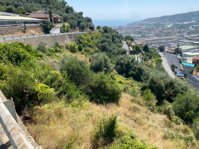 Terreno Agricolo in vendita a Taggia