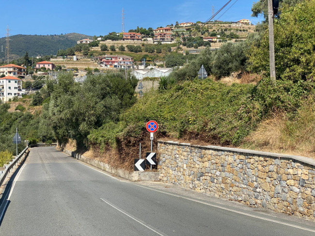 Terreno Agricolo in vendita a Taggia