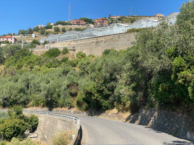 Terreno Agricolo in vendita a Taggia