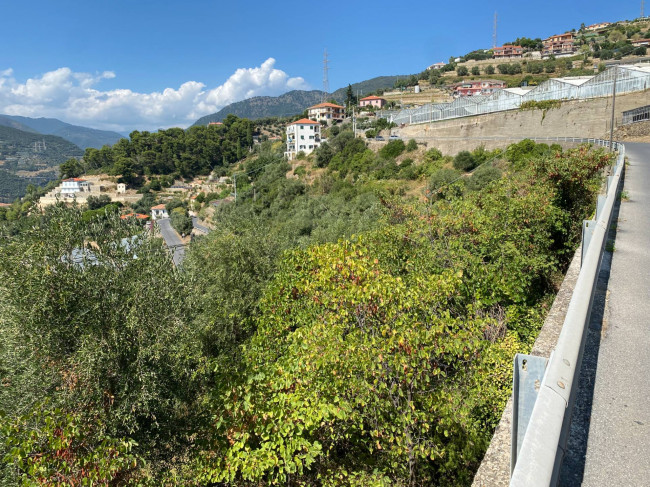 Terreno Agricolo in vendita a Taggia