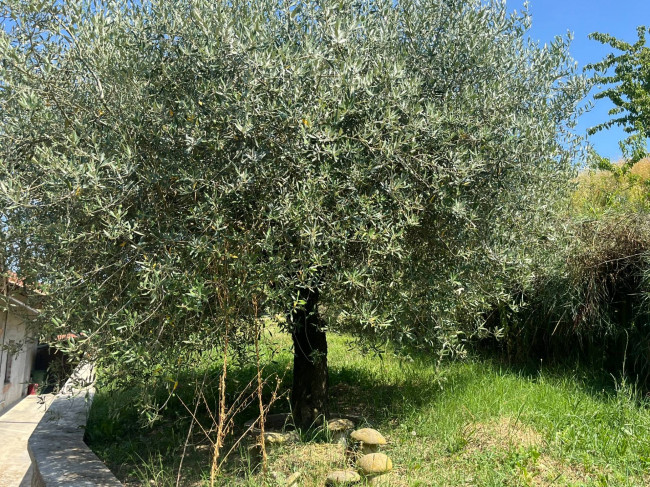 Cascina in Vendita a Neviglie
