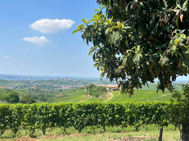 Cascina in Vendita a Neviglie
