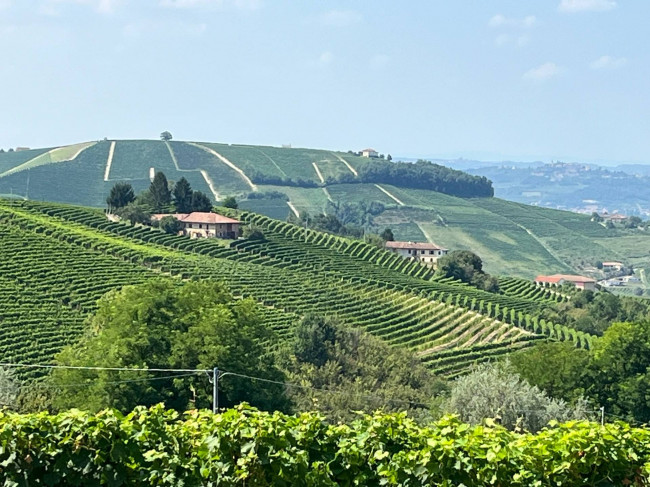 Cascina in Vendita a Neviglie